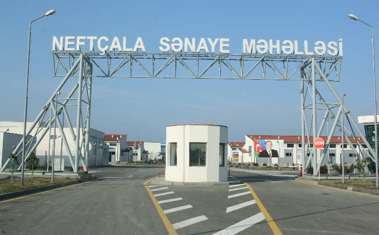 Məhsul istehsalı 4 dəfədən çox artıb 