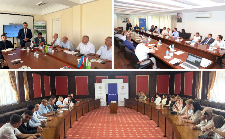 200-dən çox sahibkarın iştirakı ilə görüşlər keçirilib 