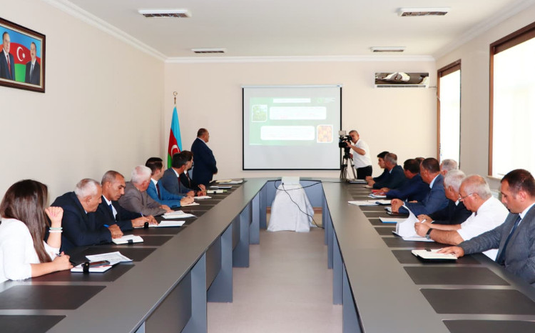 Naxçıvanda ən yüksək əkin subsidiyası məbləğləri təyin edilib - FOTO