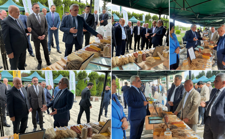 ADAU Oğuz və Ağcabədi rayonlarında keçirilən Aqrar Biznes Festivallarında stendi ilə təmsil olunub 