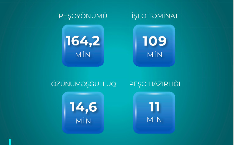 Yanvar-avqust aylarında 300 minə yaxın şəxs aktiv məşğulluq tədbirləri ilə əhatə olunub 