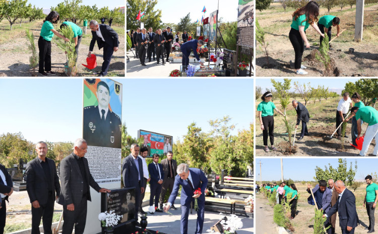 Şəhidlərin xatirəsinə ağaclar əkildi 