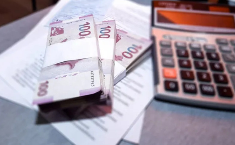 8 ayda dövlət büdcəsindən 202,3 milyon manat geri qaytarılıb 