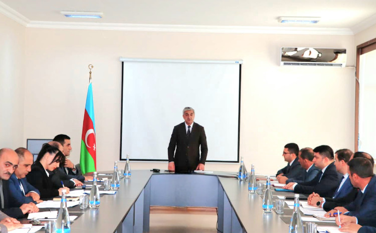 Naxçıvanda 19 min hektardan artıq sahədə taxıl əkilməsi planlaşdırılır 