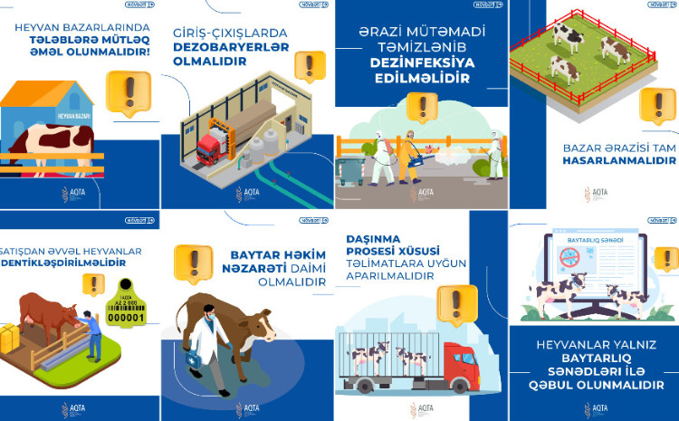 Heyvan bazarlarında tələblərə əməl olunmalıdır! 