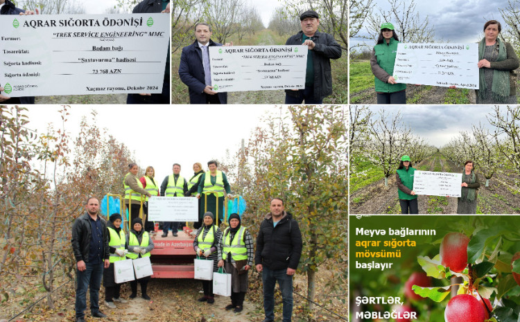 Azərbaycanda meyvə bağlarının aqrar sığortası mövsümünə start verildi - ŞƏRTLƏR, MƏBLƏĞLƏR