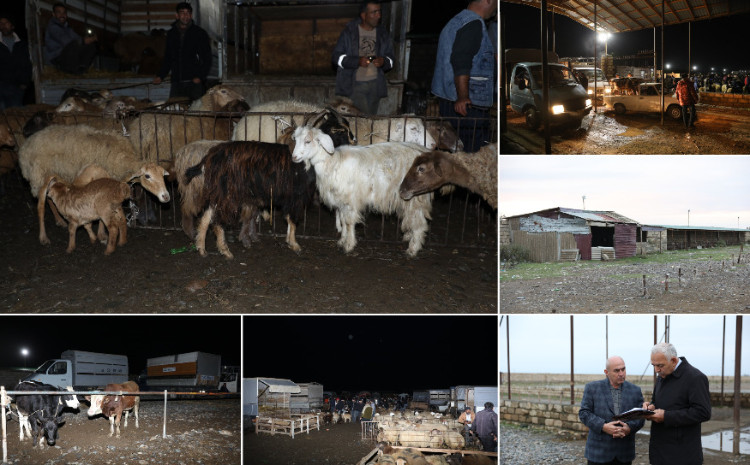 Biləsuvarda yerləşən heyvan bazarında nöqsanlar aşkarlanıb 