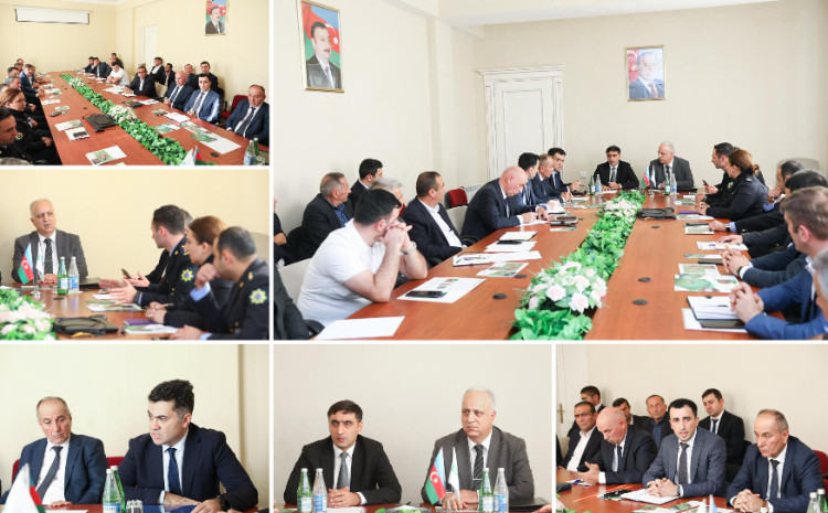 Balakəndə Regional Əlaqələndirmə Mərkəzinin Qəhvəyi mərmər bağacığı ilə bağlı növbəti iclası keçirilib 