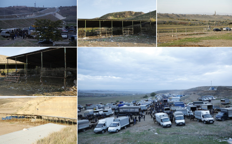 Tovuzdakı heyvan bazarında monitorinqlər keçirilib 