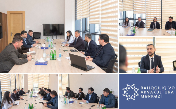 Balıqçılıq və Akvakultura Mərkəzi ilə pərakəndə satış şəbəkələri arasında balıqçılıq sektorunun inkişafı müzakirə olunub 