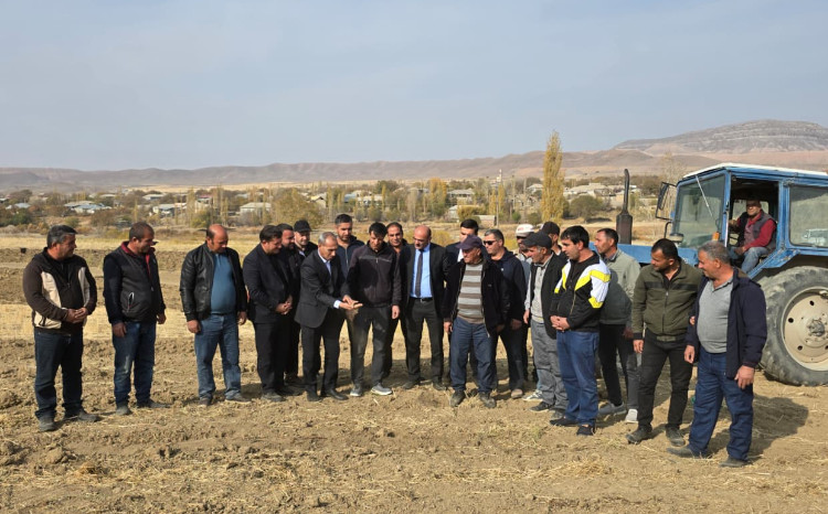 Naxçıvanda payızlıq əkin mövsümü davam edir 