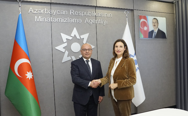 Avropa İttifaqının Azərbaycandakı nümayəndəliyinin rəhbəri ilə ANAMA-da görüş 