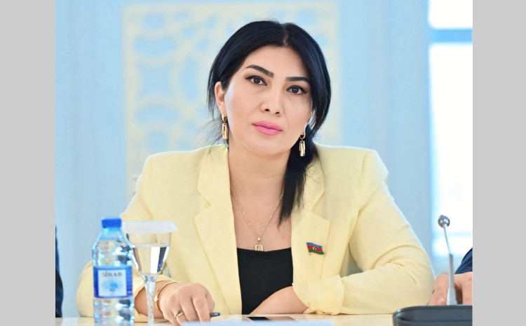 Konstitusiyamız - dövlət müstəqilliyimizin əbədi təminatı 