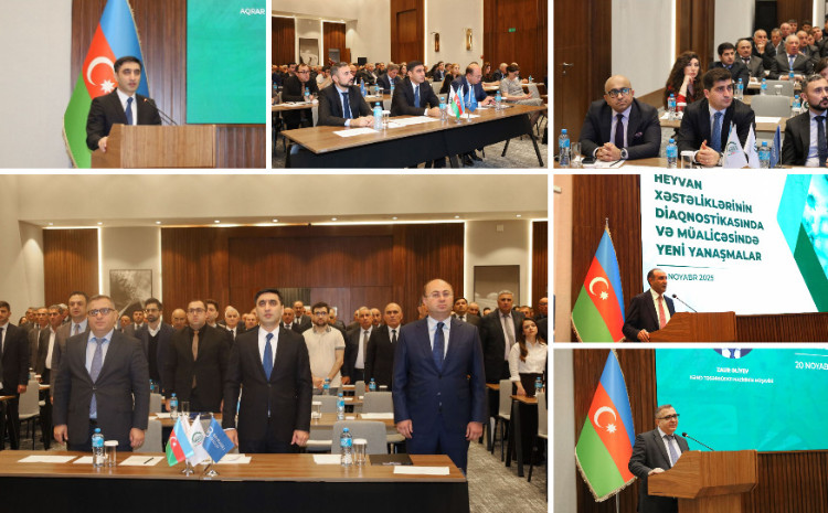 Heyvan xəstəliklərinin diaqnostikasında və müalicəsində yeni yanaşmalar mövzusunda konfrans keçirilib 