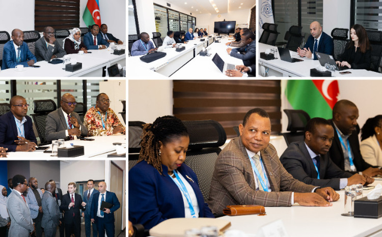 IDDA Discusses Opportunities for Digital Development Cooperation with Delegations from Nearly 10 African Countries 