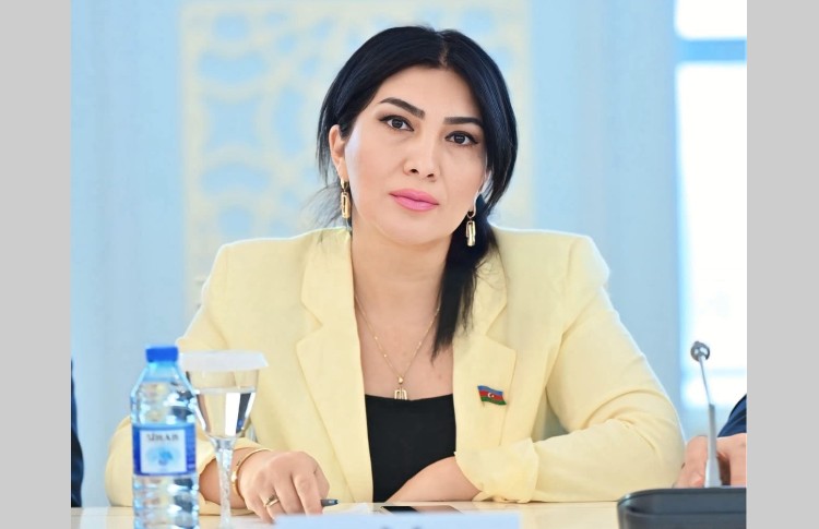 Güclü dövlətin humanist üzü: Prezident İlham Əliyevin amnistiya təşəbbüsü 