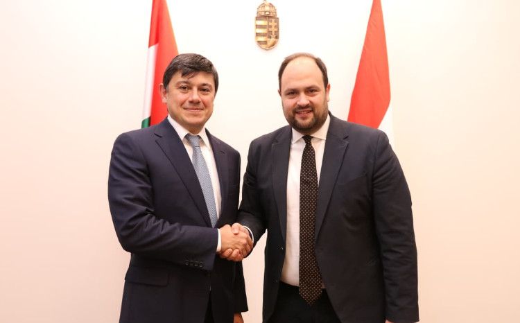 Macarıstanın Milli siyasət üzrə dövlət katibi ilə diaspor sahəsində əməkdaşlıq müzakirə olunub 