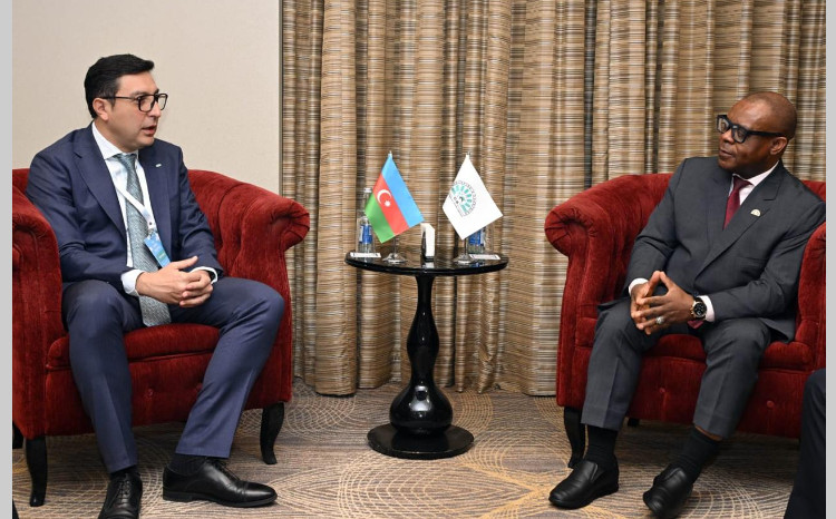 Fərid Qayıbov D-8-in baş katibi ilə görüşüb 