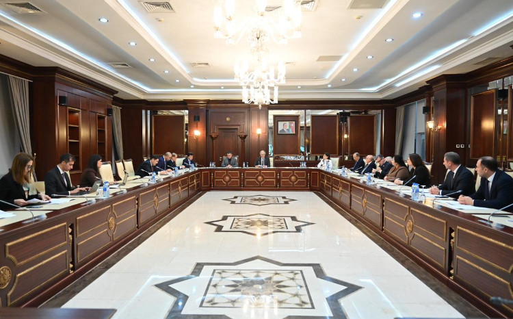 Milli Məclisin Hüquq siyasəti və dövlət quruculuğu və Mədəniyyət komitələrinin birgə iclası keçirilib 