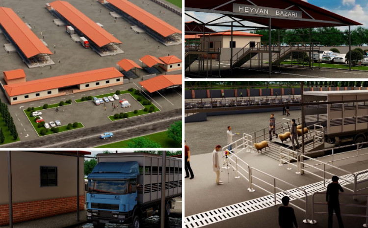 Nümunəvi heyvan bazarı layihəsinin 3D animasiyası - VİDEO