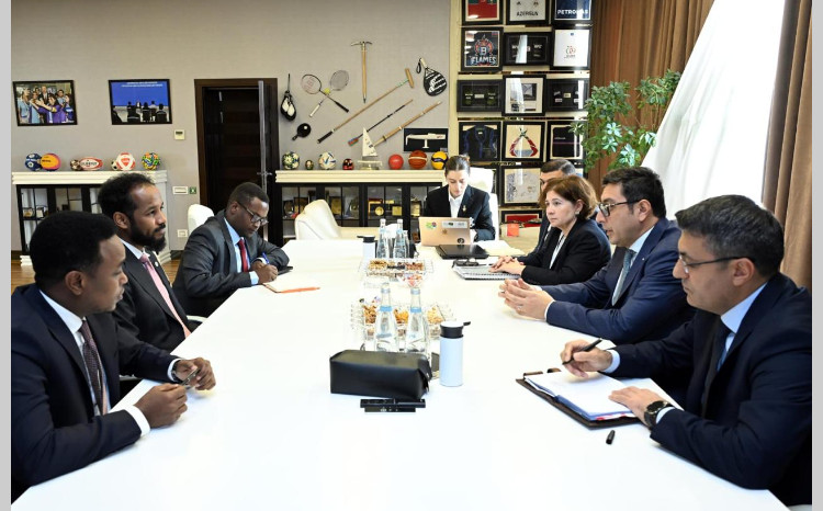 Fərid Qayıbov Somalinin gənclər və idman naziri ilə görüşdü 