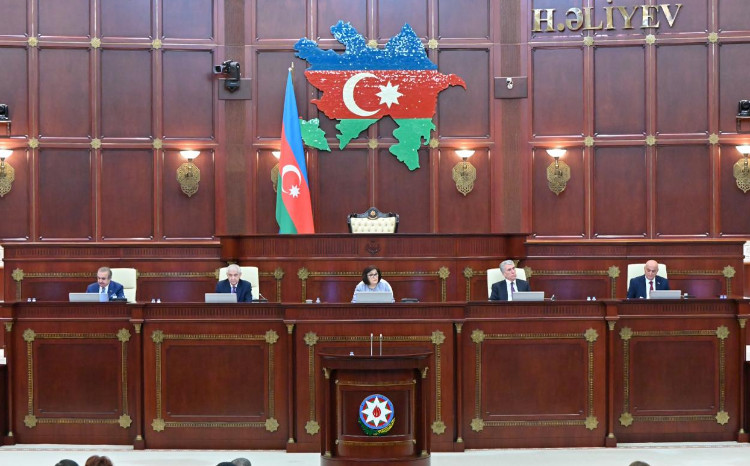 Milli Məclisin sədri Sahibə Qafarovanın Amnistiya qərarının layihəsi barədə çıxışı 