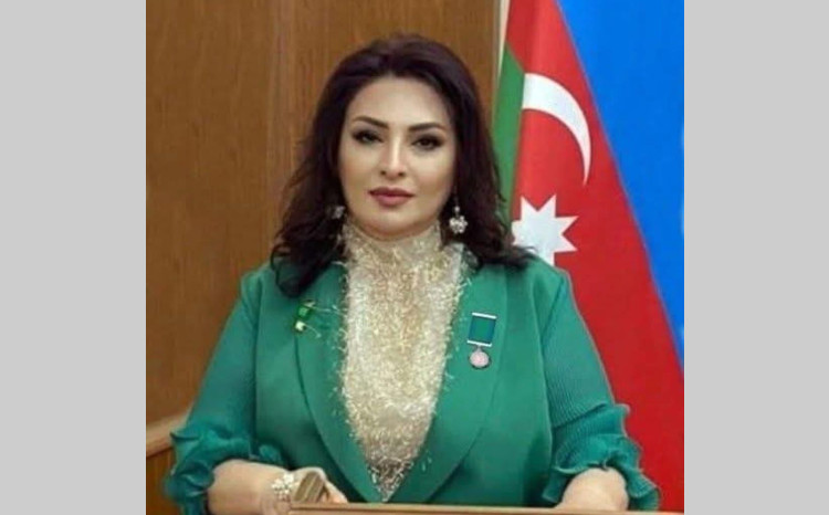 Dünya Azərbaycanlılarının Həmrəyliyi Günü ərəfəsində kitabxanaya yeni şeir təqdim olundu 