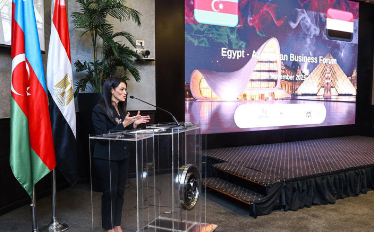 В Каире прошел бизнес-форум с участием азербайджанских и египетских компаний 