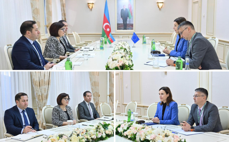 Milli Məclisin sədri Sahibə Qafarova Avropa İttifaqının Azərbaycandakı nümayəndəliyinin rəhbəri ilə görüşüb 