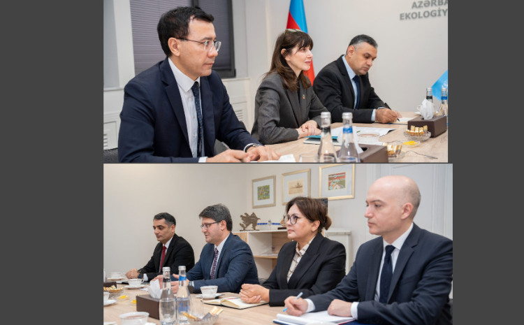 BMT-nin Azərbaycandakı rezident əlaqələndiricisi ilə görüş keçirilib 