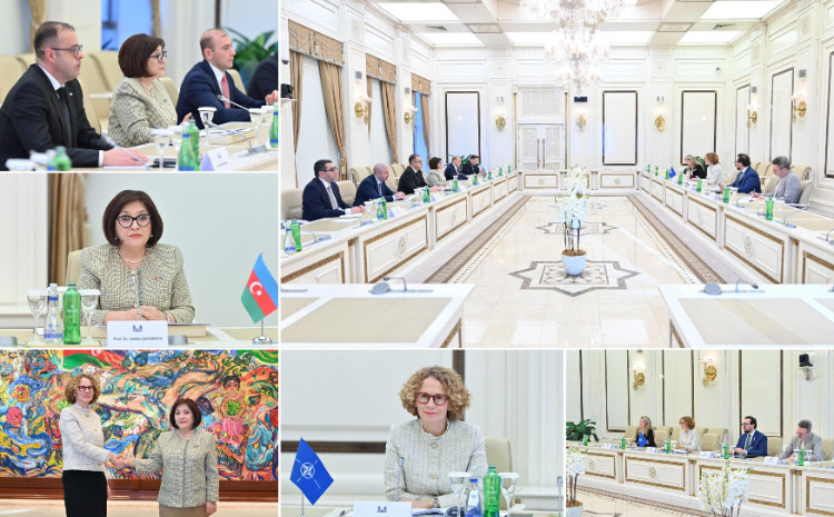 Milli Məclisin sədri Sahibə Qafarova NATO Baş katibinin müavini ilə görüşüb 