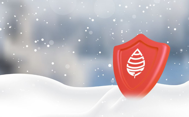 Azərbaycanda şaxtavurmaya görə 915 min manat aqrar sığorta ödənişləri edilib 