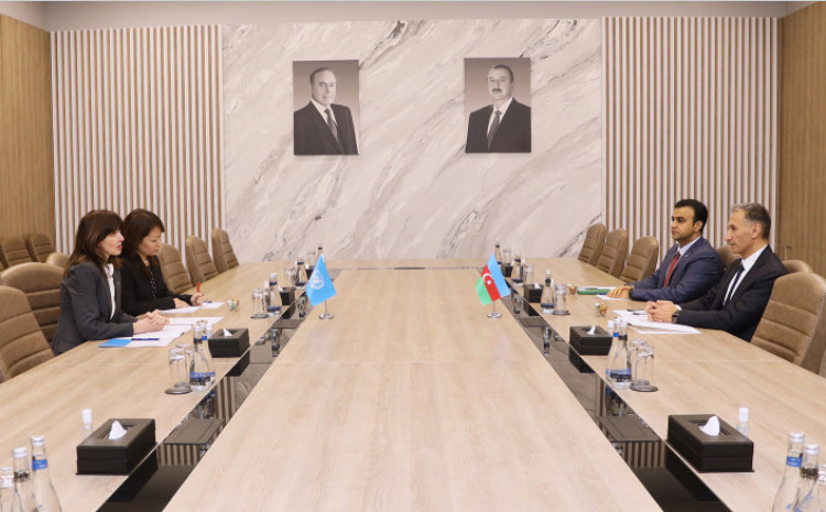Nazir Rəşad Nəbiyev BMT-nin Azərbaycandakı rezident əlaqələndiricisi ilə görüşüb 