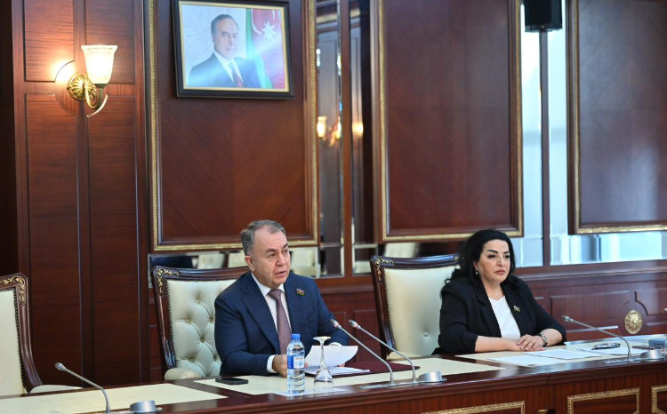 Milli Məclisin Təbii ehtiyatlar, energetika və ekologiya komitəsinin iclası keçirilib 
