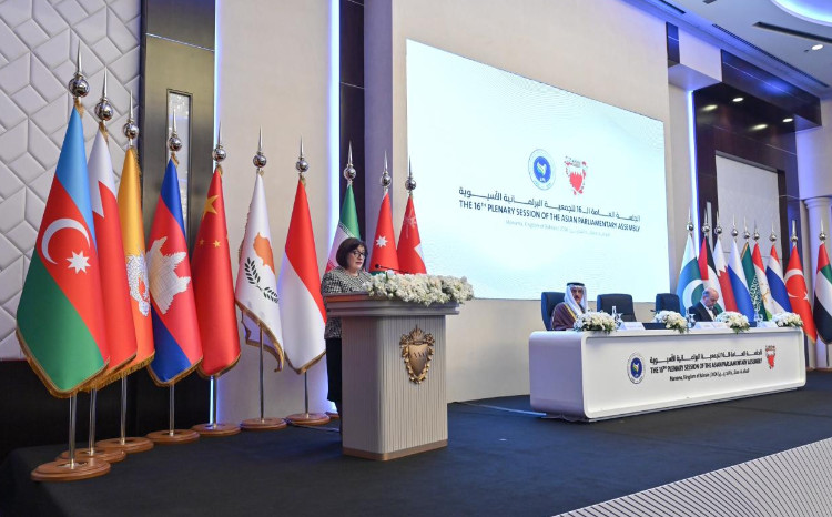 Sahibə Qafarova: “Azərbaycan mədəniyyətlərarası dialoqun sadiq tərəfdaşıdır” 