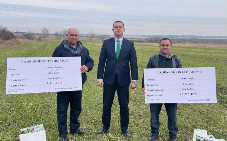 Şəmkir və Samuxda fermerlərə aqrar sığorta üzrə növbəti ödənişlər edilib 