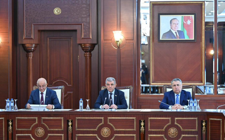 Milli Məclisin İctimai birliklər və dini qurumlar komitəsinin iclası keçirilib 