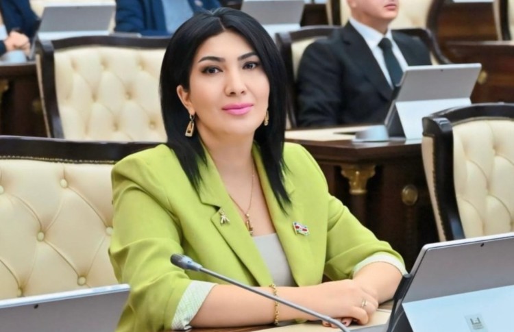 Rəqəmsal Azərbaycanın yeni arxitekturası: Məktəbdən süni intellektə uzanan yol 