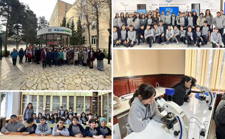 Лицеисты БГУ знакомятся с научно-исследовательской средой вуза 