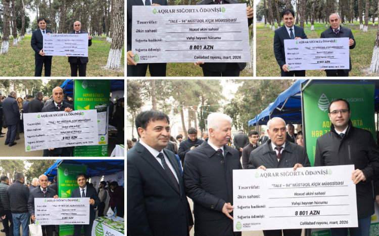 262 manata məhsulu sığortaladı - 8801 manat sığorta ödənişi aldı! 