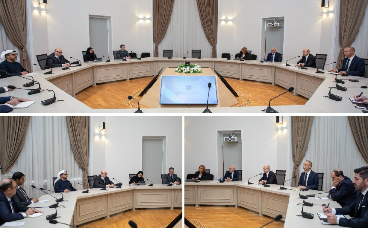 Energetika naziri “Masdar” şirkətinin baş icraçı direktoru ilə görüşüb 