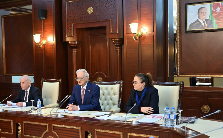 Milli Məclisin Mədəniyyət komitəsinin iclası keçirilib 