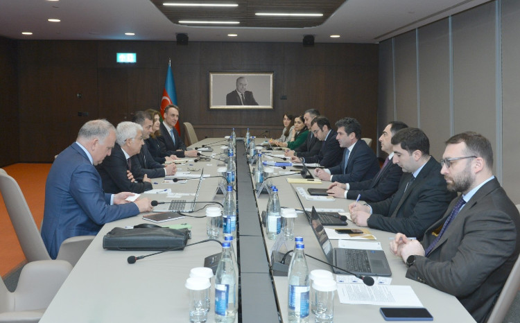 Qara Dəniz Ticarət və İnkişaf Bankının vitse-prezidenti ilə görüş keçirilib 