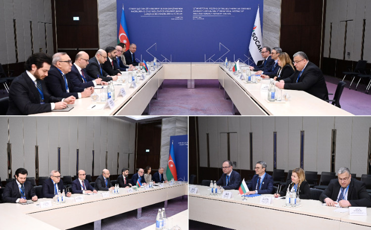 SOCAR President Meets with Caretaker Minister of Energy of Bulgaria 