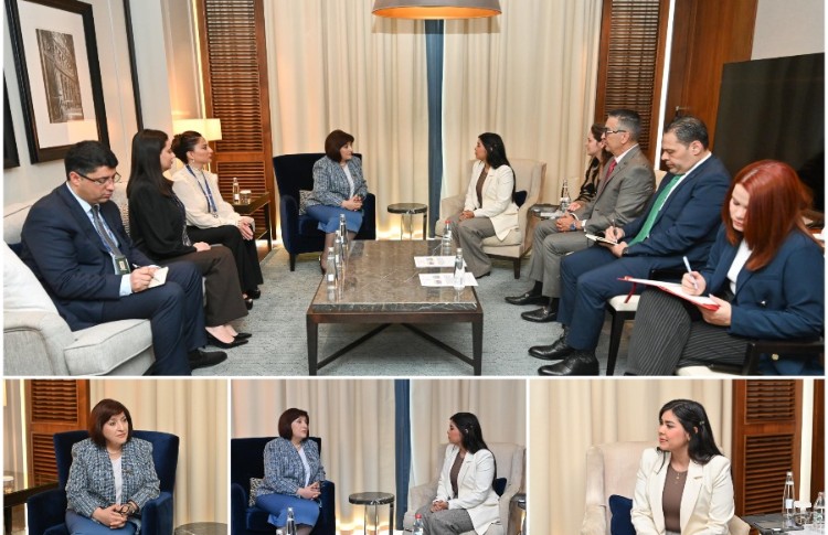 Milli Məclisin sədri Sahibə Qafarova Venesuela Parlamentinin vitse-spikeri ilə görüşüb 