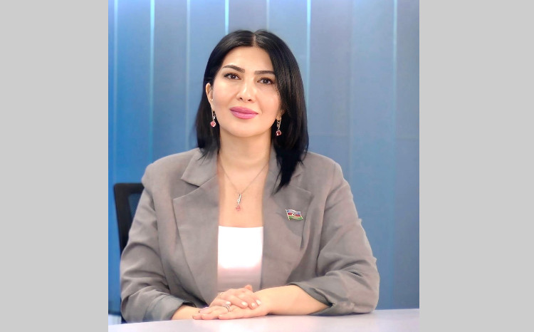 Deputat Elnarə Akimova Şimali Kiprdə beynəlxalq konfransda iştirak edəcək 