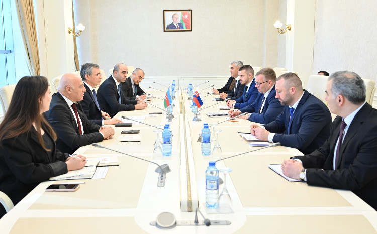 Slovakiya Ombudsmanının rəhbərlik etdiyi nümayəndə heyəti Milli Məclisdə görüş keçirib 
