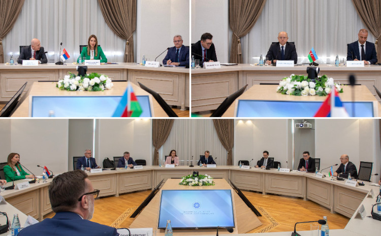 Energy Minister discussed energy cooperation with Serbian counterpart 