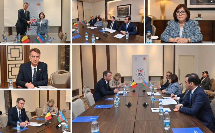 Milli Məclisin sədri Sahibə Qafarova Belçika Krallığı Federal Assambleyası Senatının sədri ilə görüşüb 