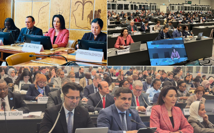Ombudsman participated in GANHRI 2026 Annual Meeting 